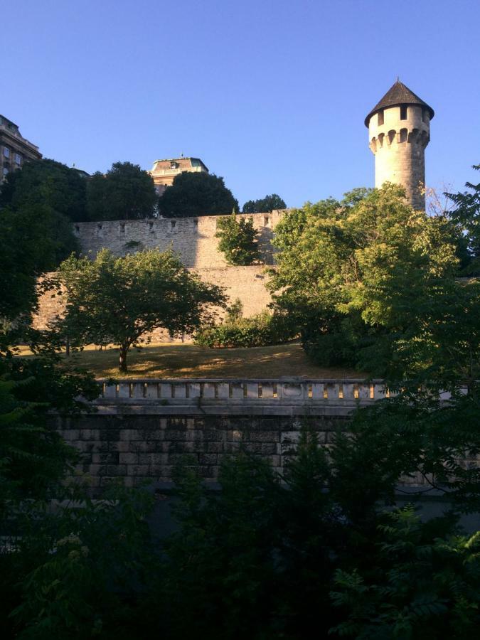 Luxury Apartment View On To The Castle Будапеща Екстериор снимка